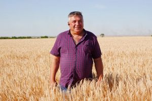 Олександр Огородник, головний агроном підприємства «Альфа Фарм»