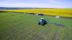 Сівозміна: агрономічний та економічний аспекти