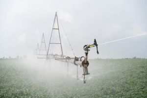 Відновлення зрошення після підриву дамби Каховської ГЕС: досвід господарства «Агро-Діло»